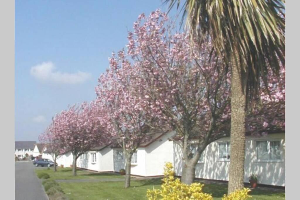 스완지 Perfect For The Family And Beaches - Gower Cwtch 빌라 외부 사진